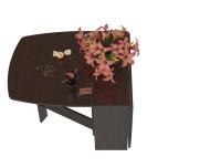 Стол-книжка раскладной 1-65ТМ1вн., цвет венге, ШхГхВ 170х90х74 см., 30х90х74 см. сложенный