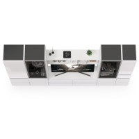 Сидней Комплектация № 028, цвет корпус: белый/чёрный/фасады: МДФ белый глянец, ШхГхВ 314,9х41,3х205,2 см., ниша для ТВ 129х41х98 см., универс. сборка