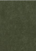 Рейн дельфин зеленый велюр+черная экокожа