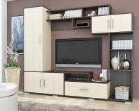 Гостиная Пекин Дуб Молочный 8622 / Венге 0854